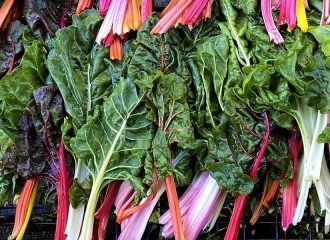 freshly-harvested rainbow chard