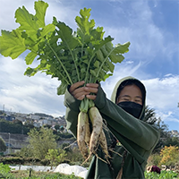 Vanessa Lieu holding a bunch of daikon radishes at Alemany Farm