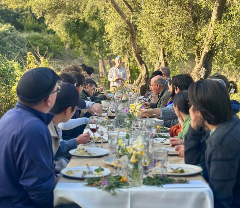 a group of people sit at a long table eating under sunlit trees while someone stands at far end of table